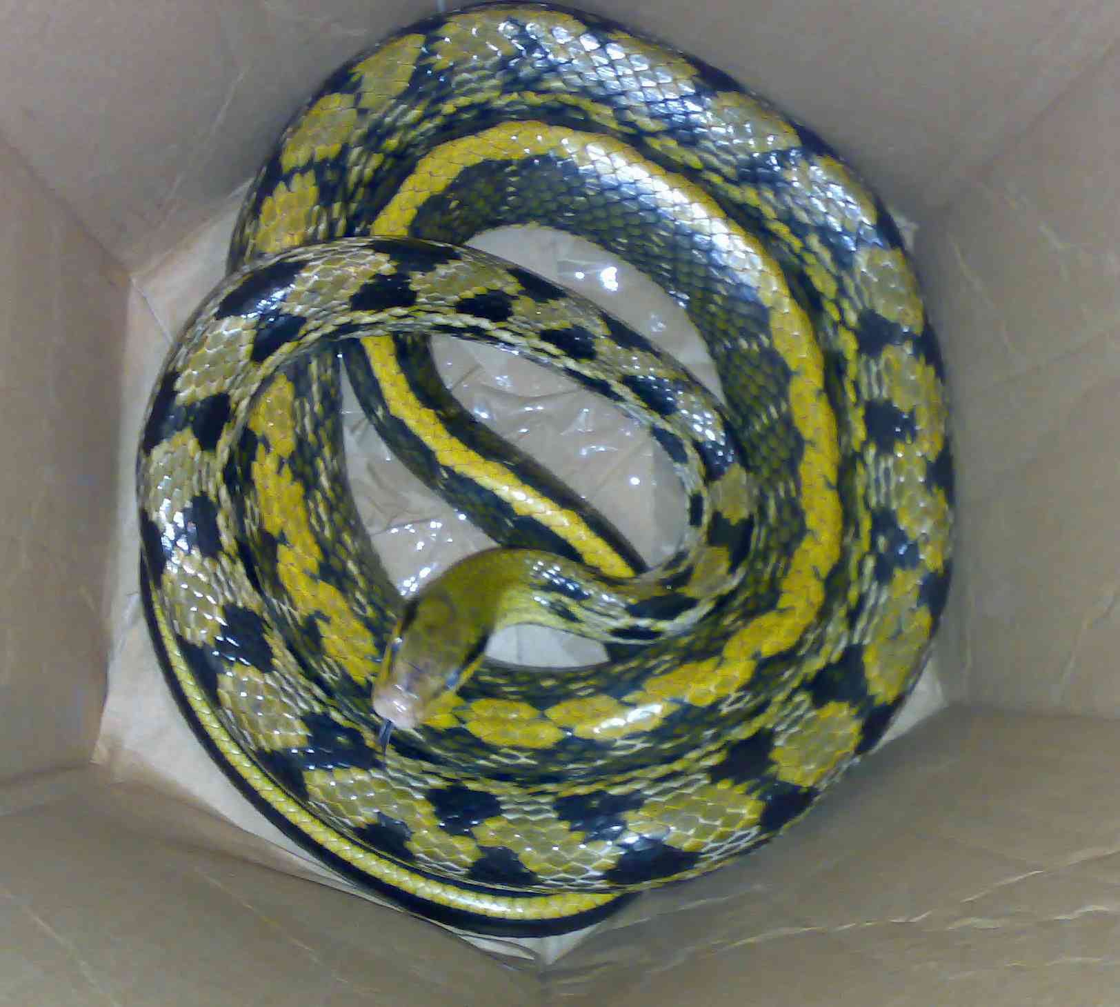 24032007311.jpg