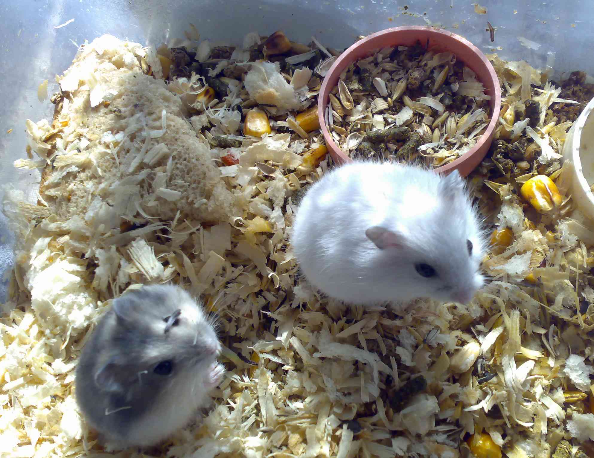 01042007323.jpg