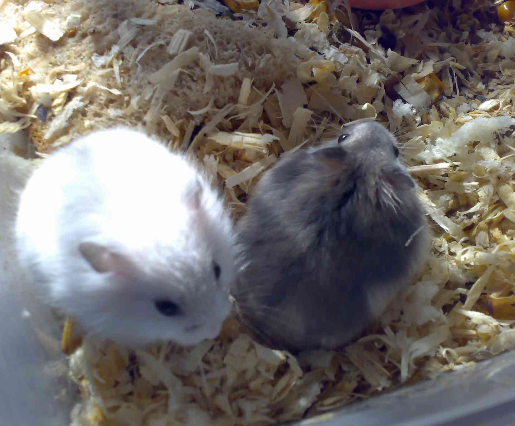 01042007324.jpg